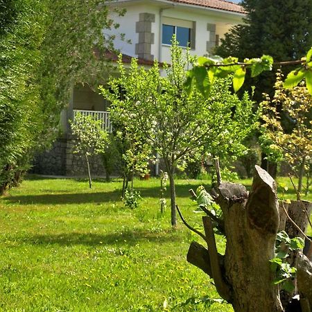 Albergue Pallanes Tui Dış mekan fotoğraf