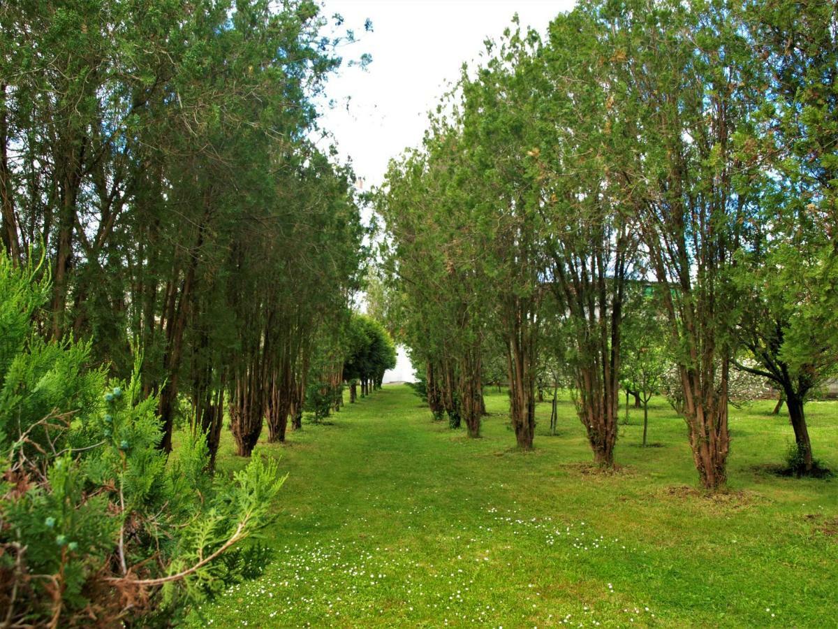 Albergue Pallanes Tui Dış mekan fotoğraf
