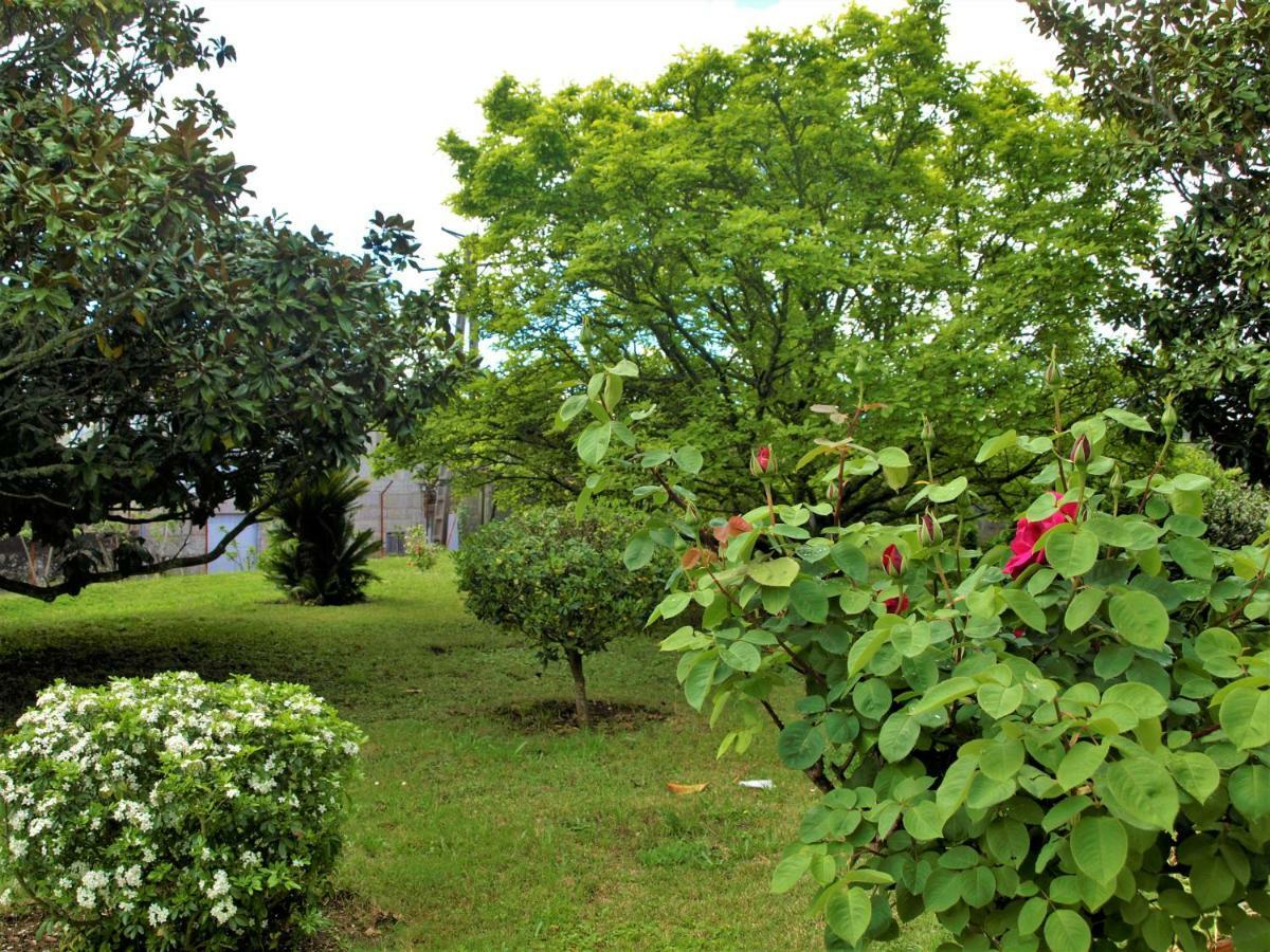 Albergue Pallanes Tui Dış mekan fotoğraf